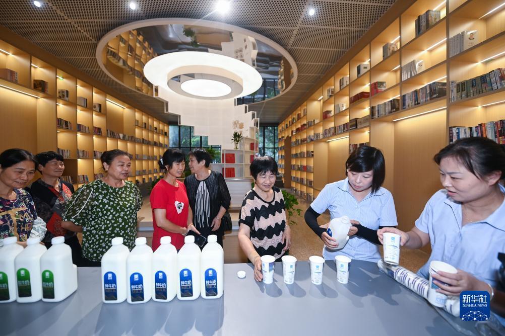 必发365乐趣网投坑人